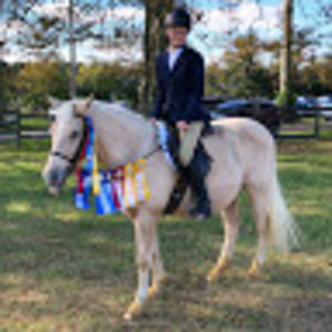 Meet your Posher, Hannah